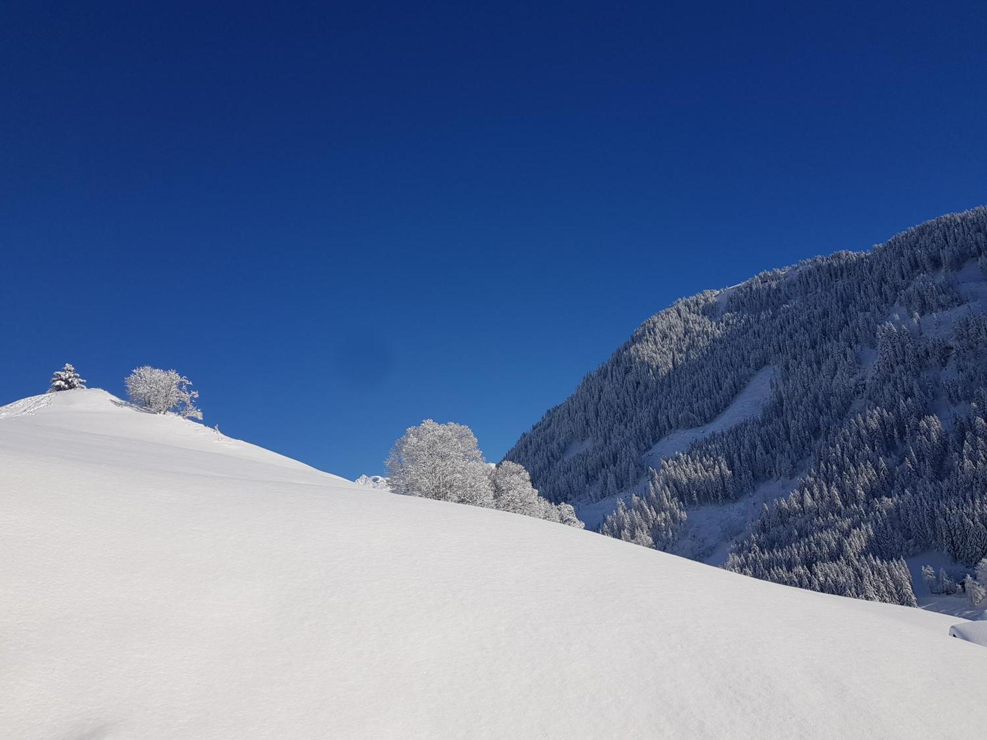 Aux Fermes De La Croix, Maison D'Hotes, Spa Hauteluce Buitenkant foto